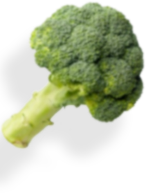 Broccoli